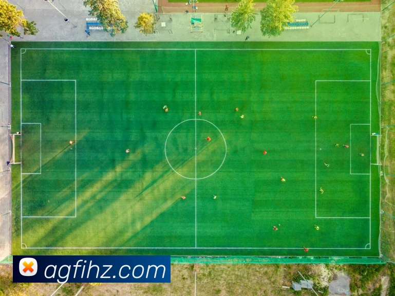 ag百家乐平台生态图